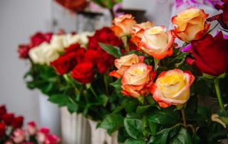 Ecuadorian Roses, Long Stem Roses, Red Roses