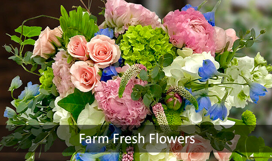 Farm Fresh Flowers, Same Day Flower Delivery