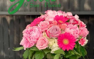 Frank Gallo Florist Get-Well Flowers and Plants CLIFTON PARK NEW YORK FLOWER DELIVERY LOCAL SAME DAY & EXPRESS DELIVERY