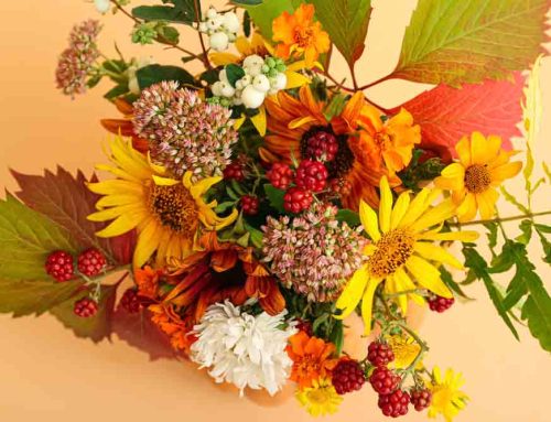 Guilderland NY Flower Delivery for Thanksgiving and all Occasions is Offered at Frank Gallo Florist