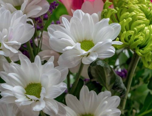 Sympathy Flowers Offer a Meaningful Way to Express Condolences and Honor Loved Ones