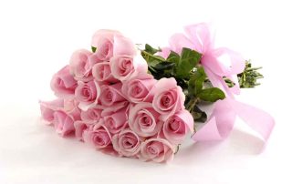 Pink Roses for Mother's Day