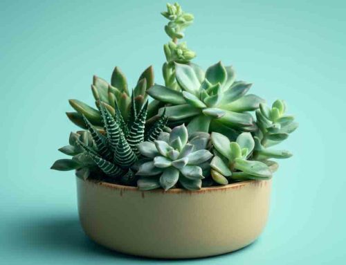 Surprise Dad this Father’s Day with a Thoughtful Floral Gift