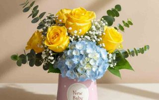 New Baby Flowers Yellow Roses and Hydrangea
