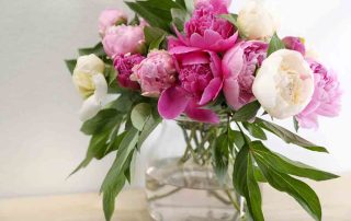 Roses and Fresias for Appreciation Bouquet
