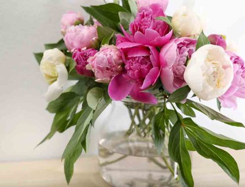 Customer Appreciation Flowers Strengthen Relationships