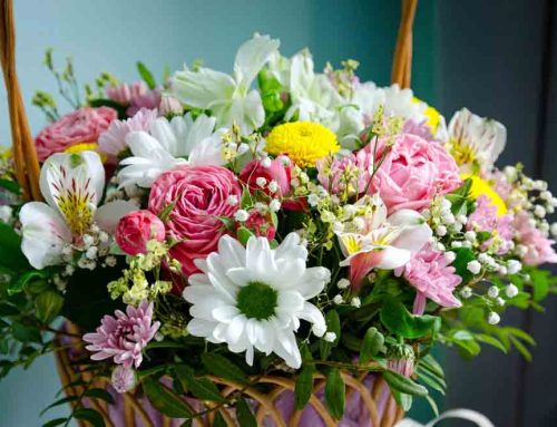 Say, “thank you” and Brighten Someone’s Day with Fresh Thank You Flowers