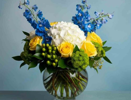 Love and Romance Flowers are Ideal for Expressing Heartfelt Emotions